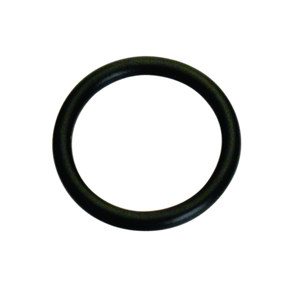 Champion 3/16in (I.D.) x 1/16in Imperial O-Ring -10pk
