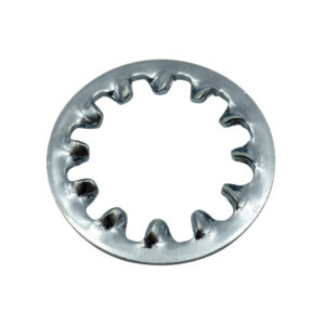 Champion 6mm Internal Star Washer - 100pk