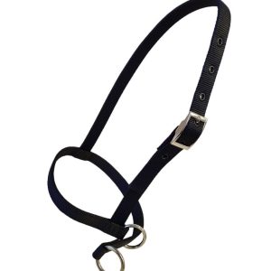 Taurus Nylon Calf Leading Halter Black