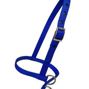 Taurus Nylon Calf Leading Halter Blue