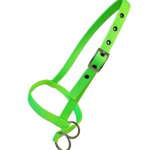 Taurus Nylon Calf Leading Halter Lime Green
