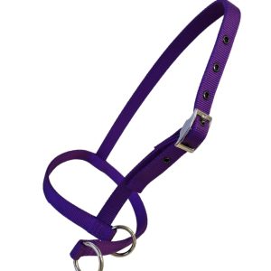 Taurus Nylon Calf Leading Halter Purple