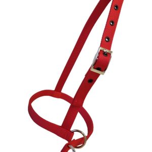 Taurus Nylon Calf Leading Halter Red