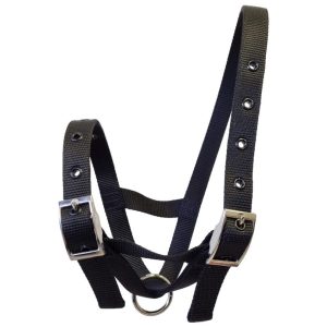 Taurus Nylon Calf Tethering Halter Black