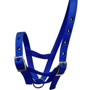 Taurus Nylon Calf Tethering Halter Blue