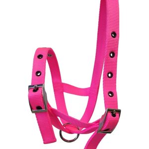 Taurus Nylon Calf Tethering Halter Hot Pink