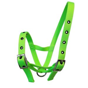 Taurus Nylon Calf Tethering Halter Lime Green