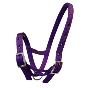 Taurus Nylon Calf Tethering Halter Purple