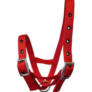 Taurus Nylon Calf Tethering Halter Red