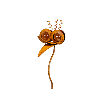 Omni Rustic Funky Bird Amber Eyes Set Of 24