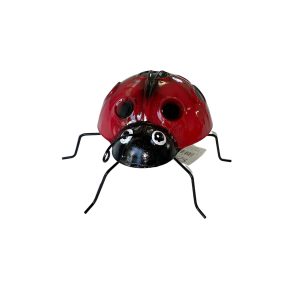 Omni Lady Bird - Small  (6 Per Set)
