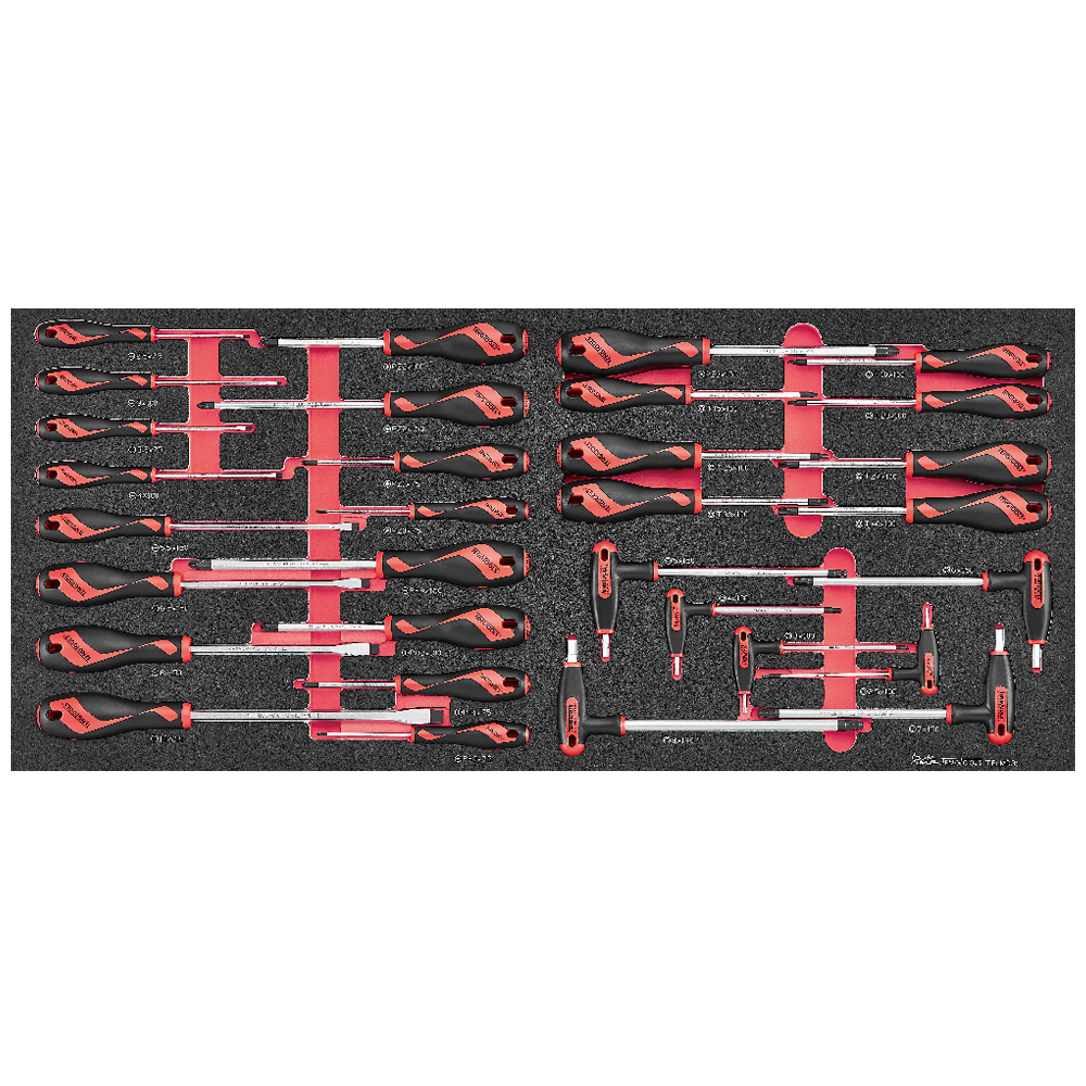 Teng 31pc Screwdriver Set Mixed FOAM6X6