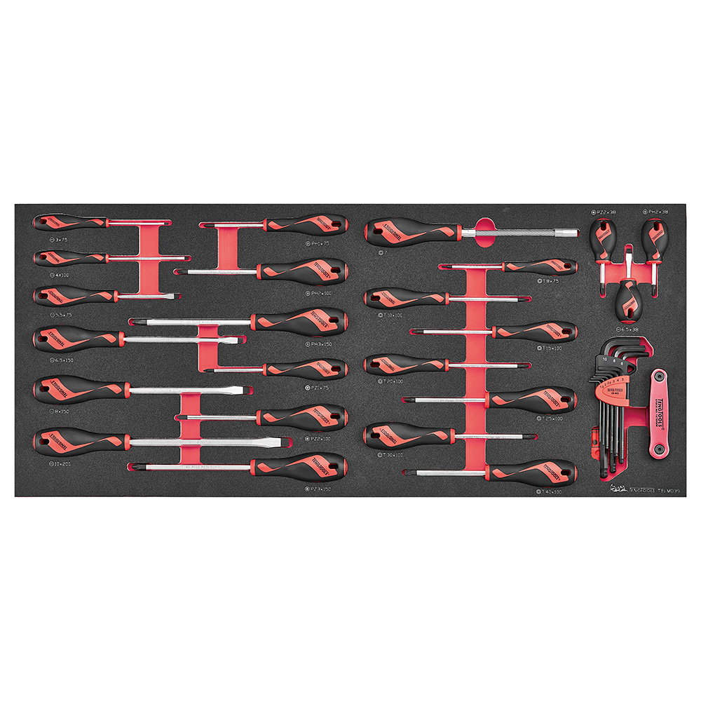 Teng 39pcScrewdriver Set Mixed FOAM6X6