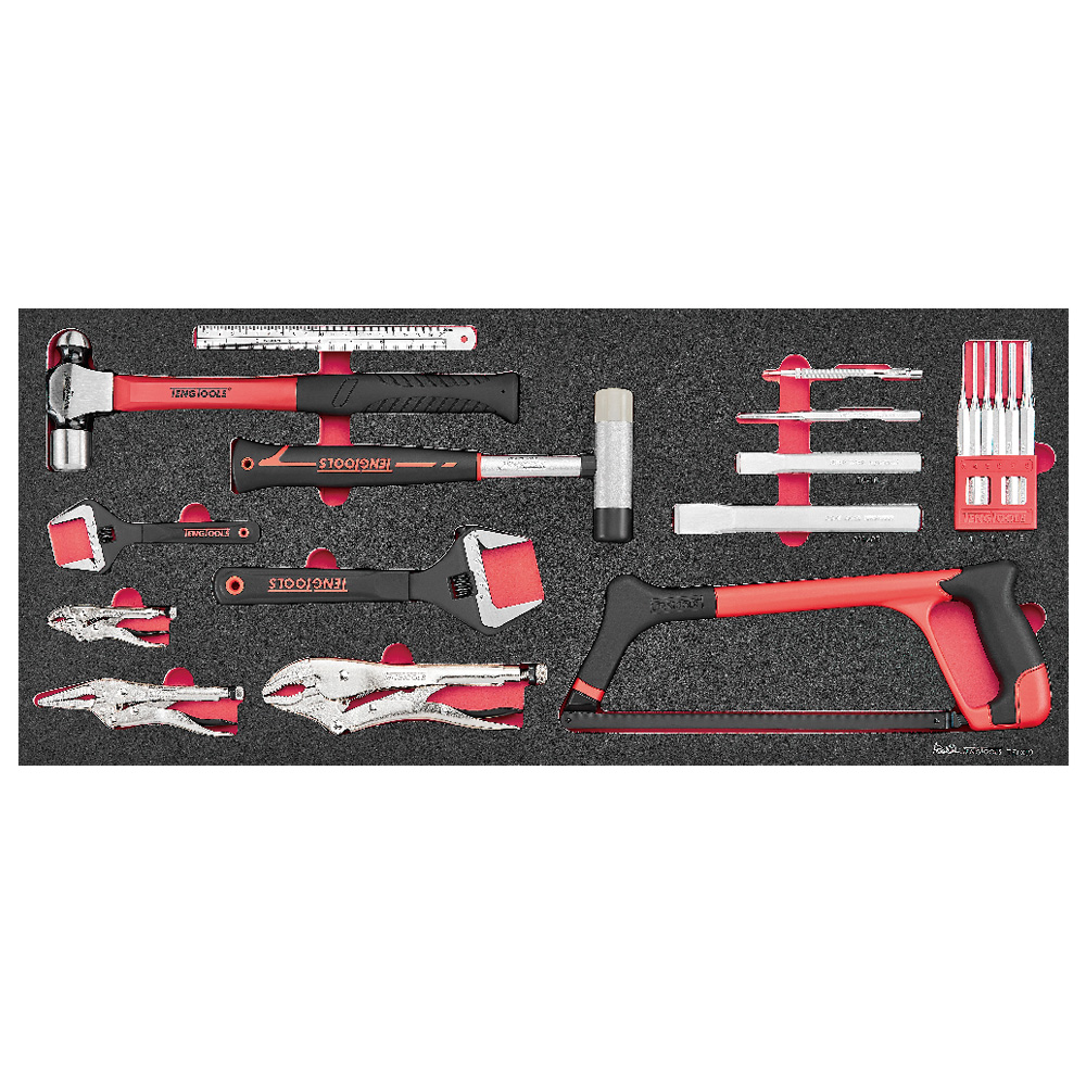 Teng 19pc General Service Tool Set FOAM6X6