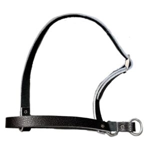 Taurus Tough Full Leather Calf Leading Halter Black
