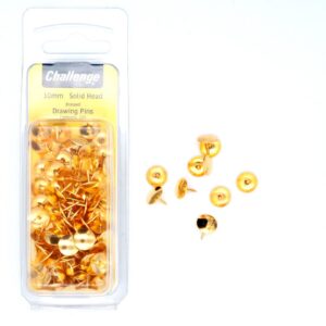 Challenge Drawing Pins 100 g Blister Pack
