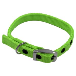 Taurus Tough Nylon Heavy Duty Dog Collar 16 mm x 405 mm Lime Green