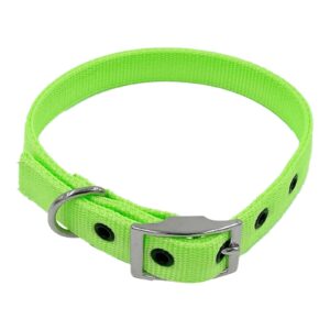 Taurus Tough Nylon Heavy Duty Dog Collar 19 mm x 485 mm Lime Green