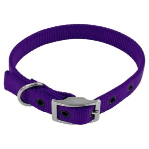 Taurus Tough Nylon Heavy Duty Dog Collar 19 mm x 485 mm Purple