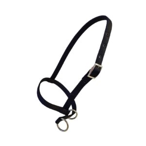 Taurus Tough Nylon Calf Leading Halter Black