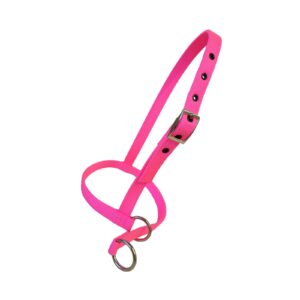 Taurus Tough Nylon Calf Leading Halter Hot Pink
