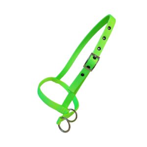 Taurus Tough Nylon Calf Leading Halter Lime Green