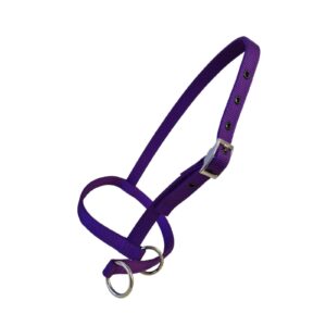 Taurus Tough Nylon Calf Leading Halter Purple