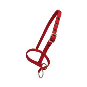 Taurus Tough Nylon Calf Leading Halter Red