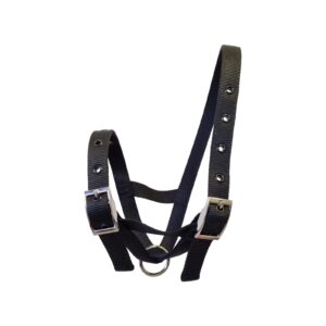 Taurus Tough Nylon Calf Tethering Halter Black