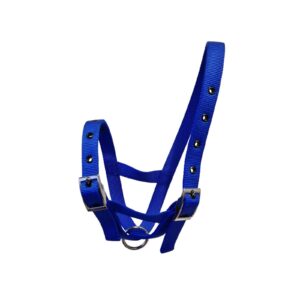 Taurus Tough Nylon Calf Tethering Halter Blue