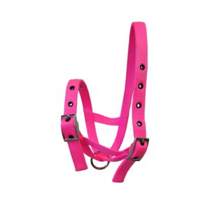 Taurus Tough Nylon Calf Tethering Halter Hot Pink
