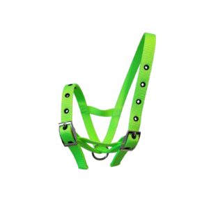 Taurus Tough Nylon Calf Tethering Halter Lime Green