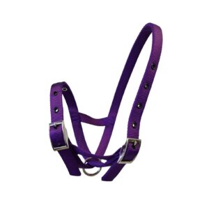 Taurus Tough Nylon Calf Tethering Halter Purple