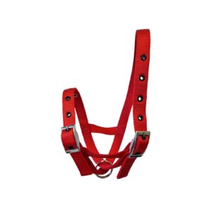 Taurus Tough Nylon Calf Tethering Halter Red