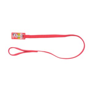 Taurus Tough Nylon Double Thickness Dog Lead 19 mm x 105 cm Red