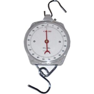 Camry Clockface Hanging Scale 100 kg