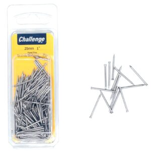 Challenge Stainless Steel Panel Pins 25 mm 60 g Blister Pack