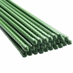 Xcel Garden Stake - Green Plastic Covered 16mm x 1.5m - Pack of 10 (replaces STAKE16X18)